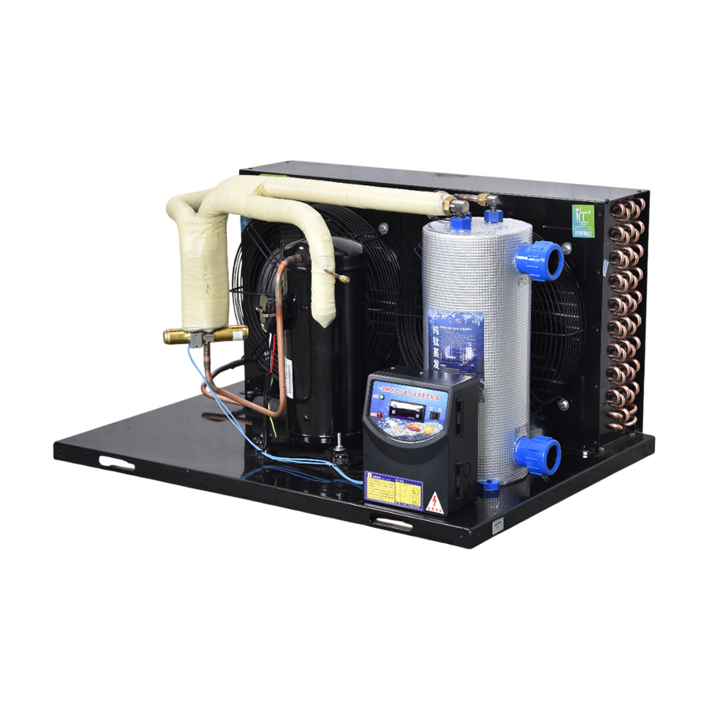 Aquarium Fish And Price - Factory Wholesale Price Easy Operating Fish