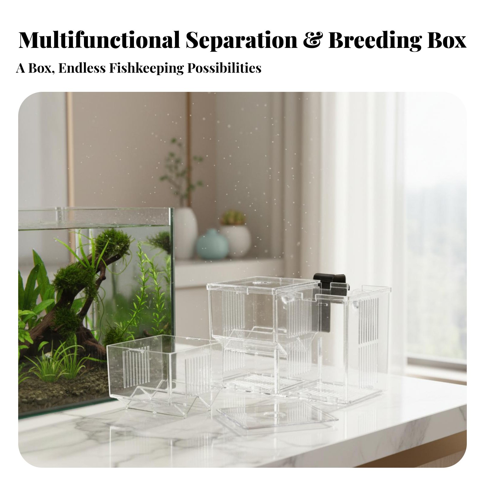 Aquatic Habitat Hatchery Box P - مراجعة Aquarium Fish Guppy وسعره