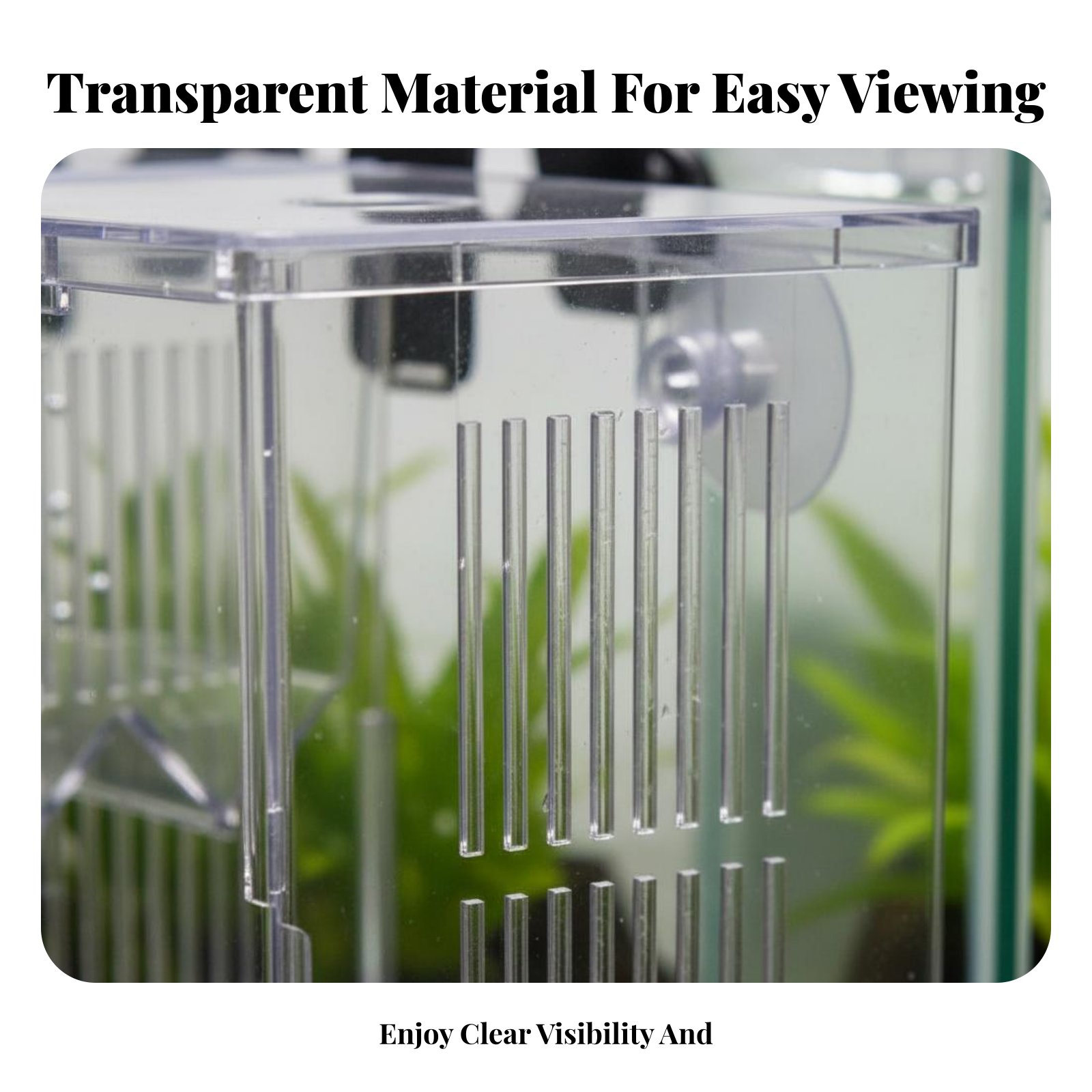 Aquatic Habitat Hatchery Box P - مراجعة Aquarium Fish Guppy وسعره