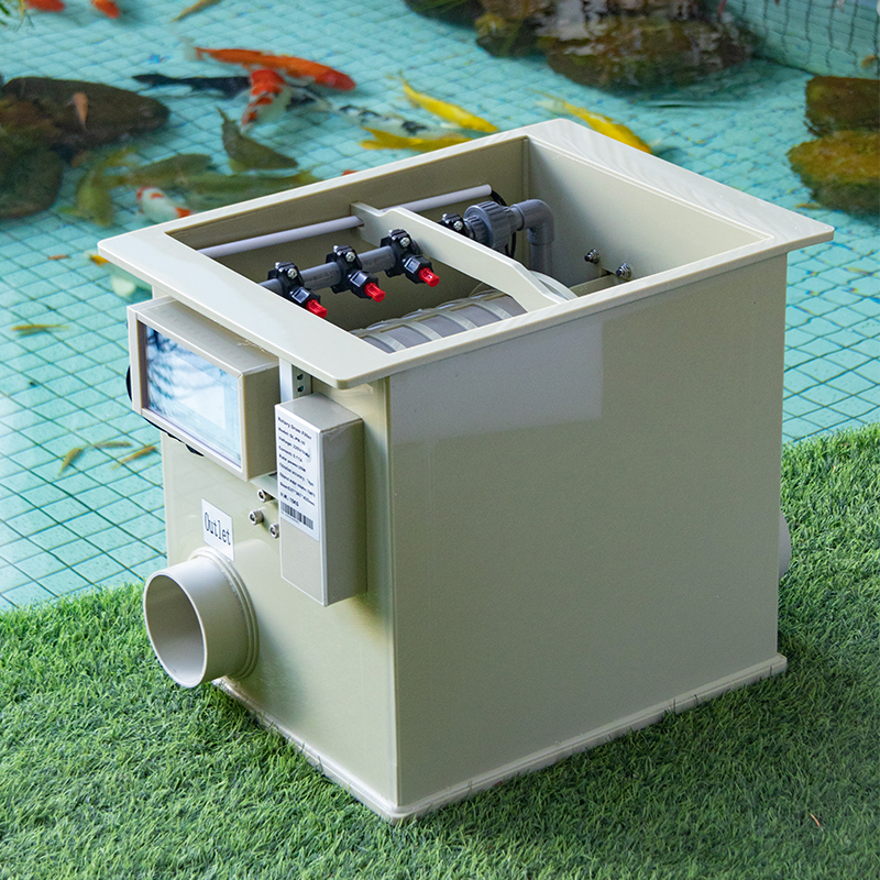 QihangRAS Garden Small Koi Fis - مراجعة Aquarium Fish And Price وسعره