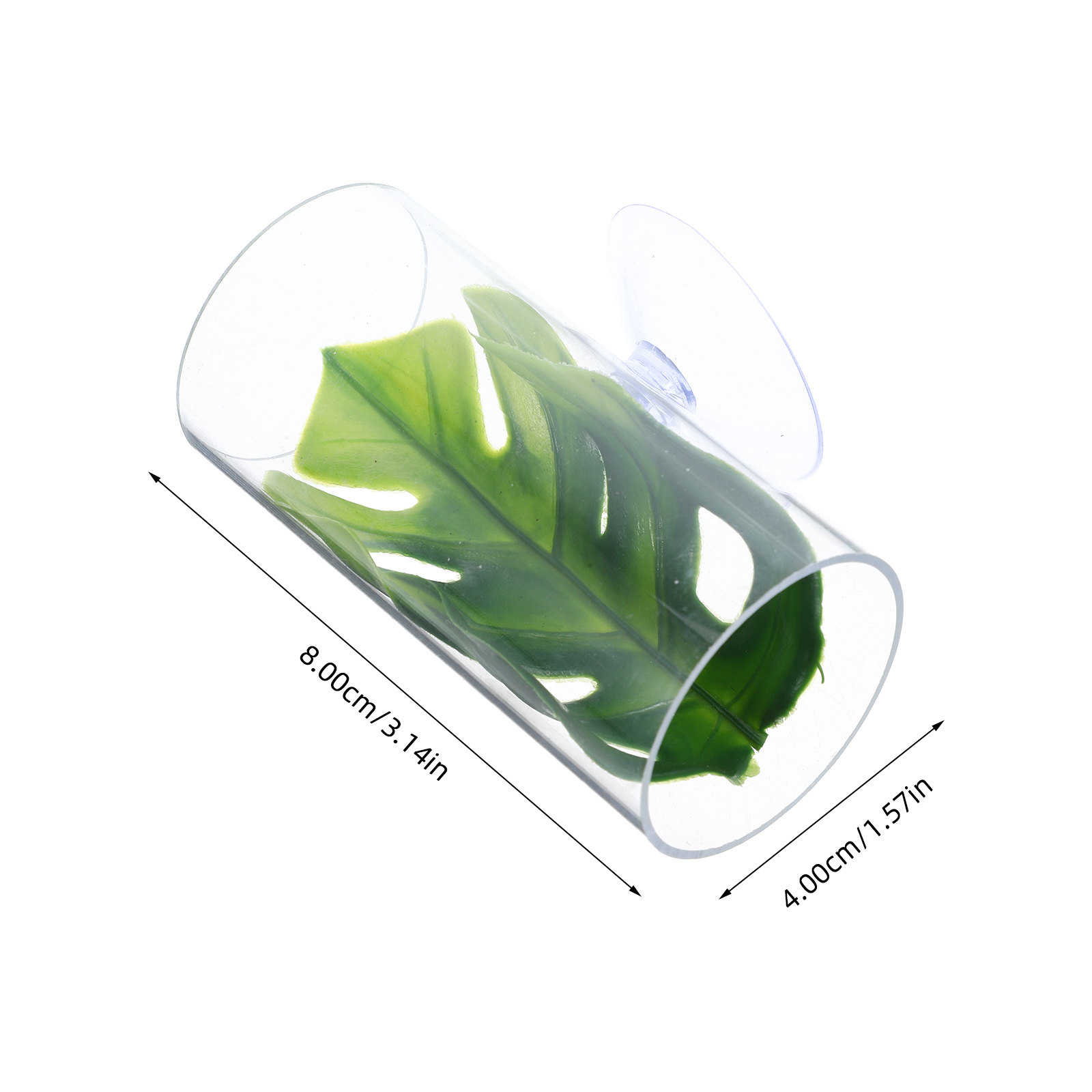 Transparent Betta Fish Tube Tu - مراجعة Fish Aquarium Youtube Relaxing وسعره