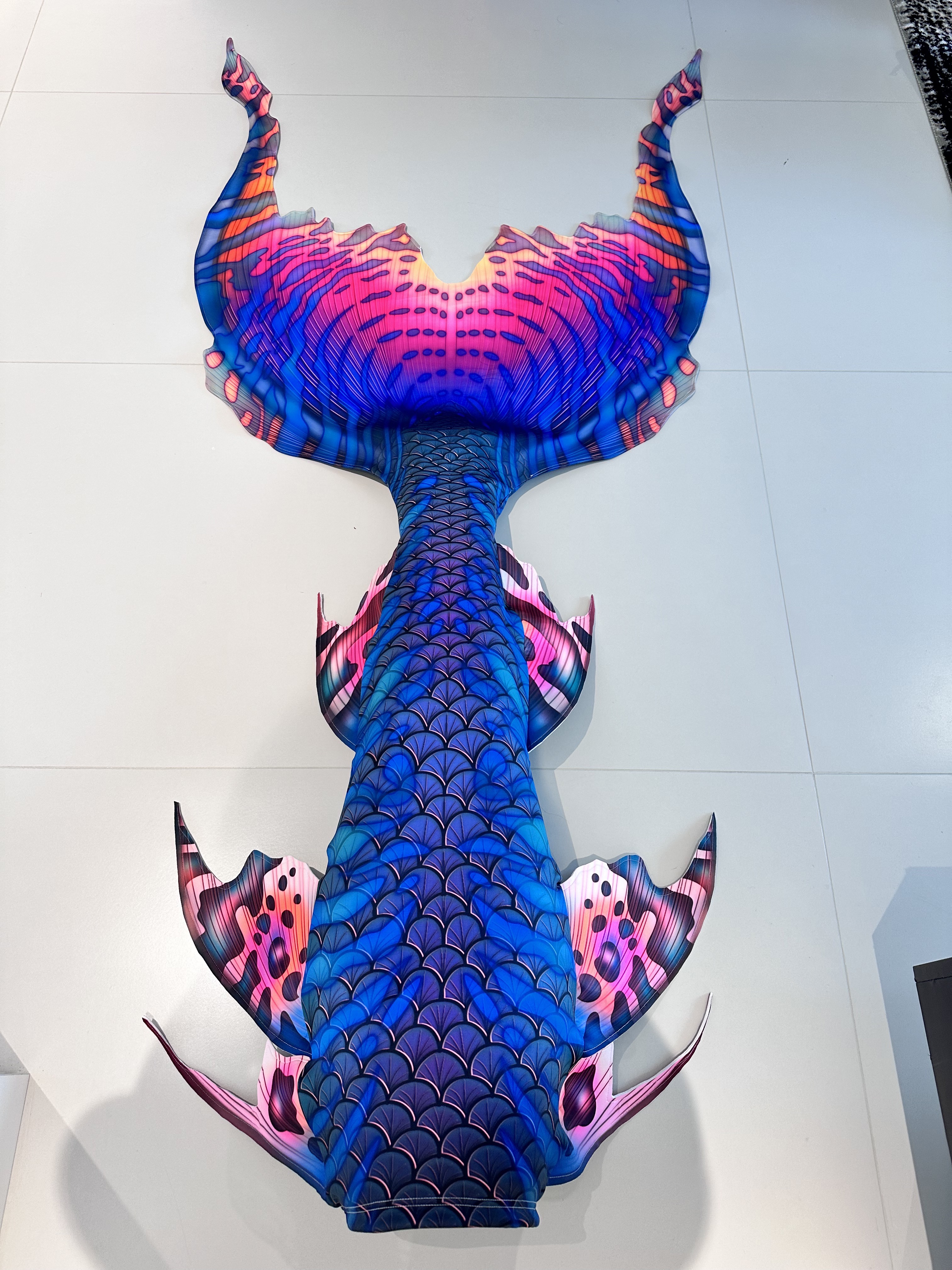 LUXURE Mermaid Carp Tail Beaut - مراجعة Aquarium Fish Beautiful وسعره