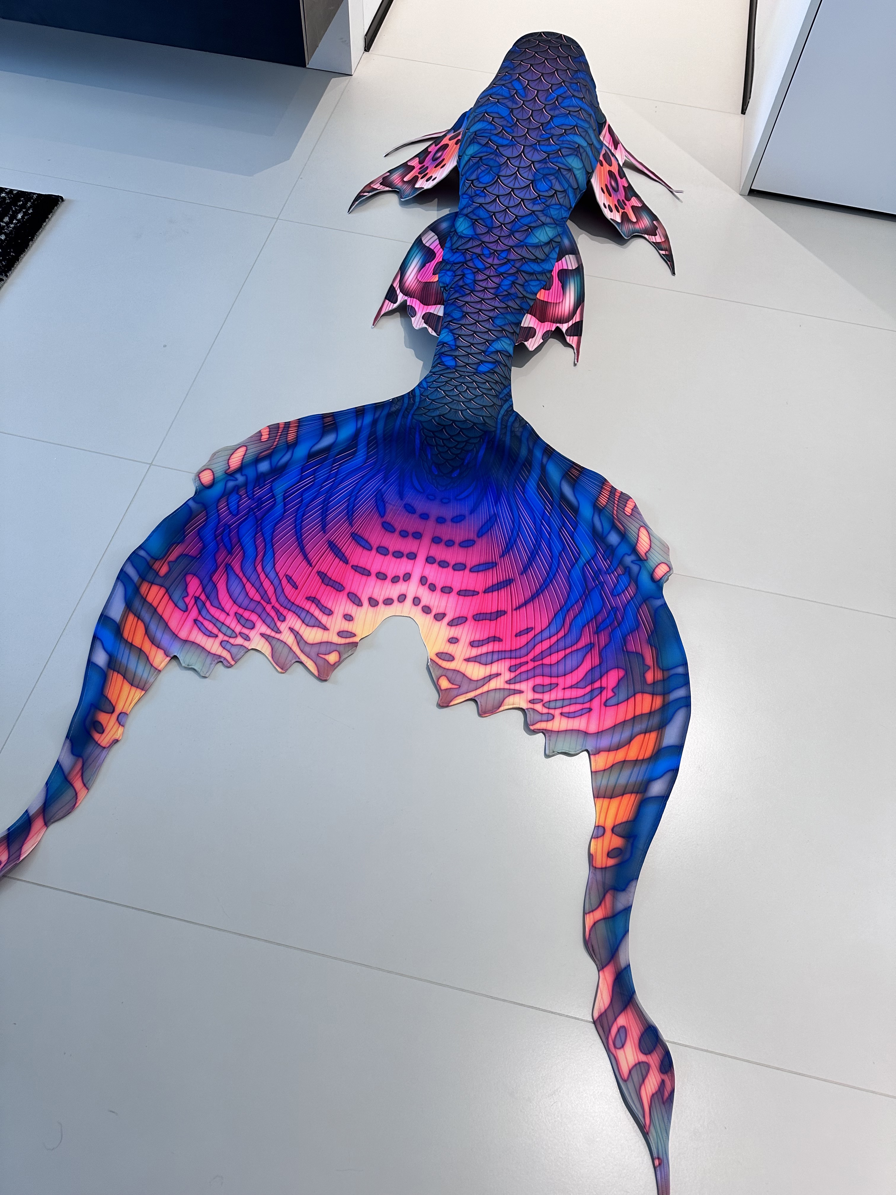 LUXURE Mermaid Carp Tail Beaut - مراجعة Aquarium Fish Beautiful وسعره