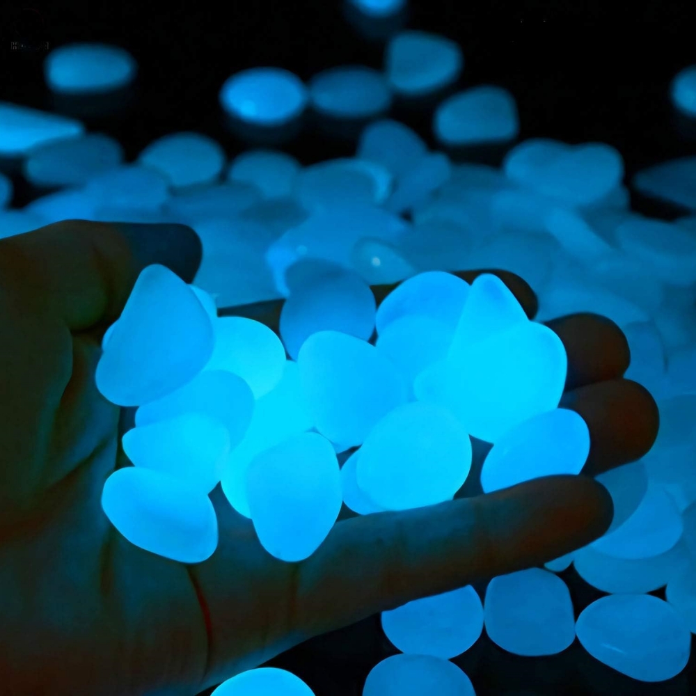 Indoor Outdoor Garden Stones F - مراجعة Aquarium Fish That Glow In The Dark وسعره
