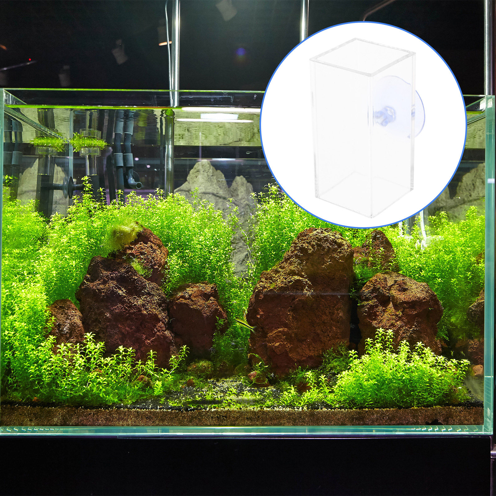 Betta Fish Acrylic Tube Tunnel - مراجعة Fish Aquarium Youtube Relaxing وسعره