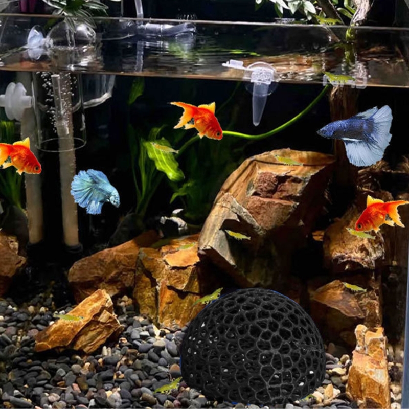 Fish Shelter Cave Corner for F - مراجعة Aquarium Fish Beautiful وسعره