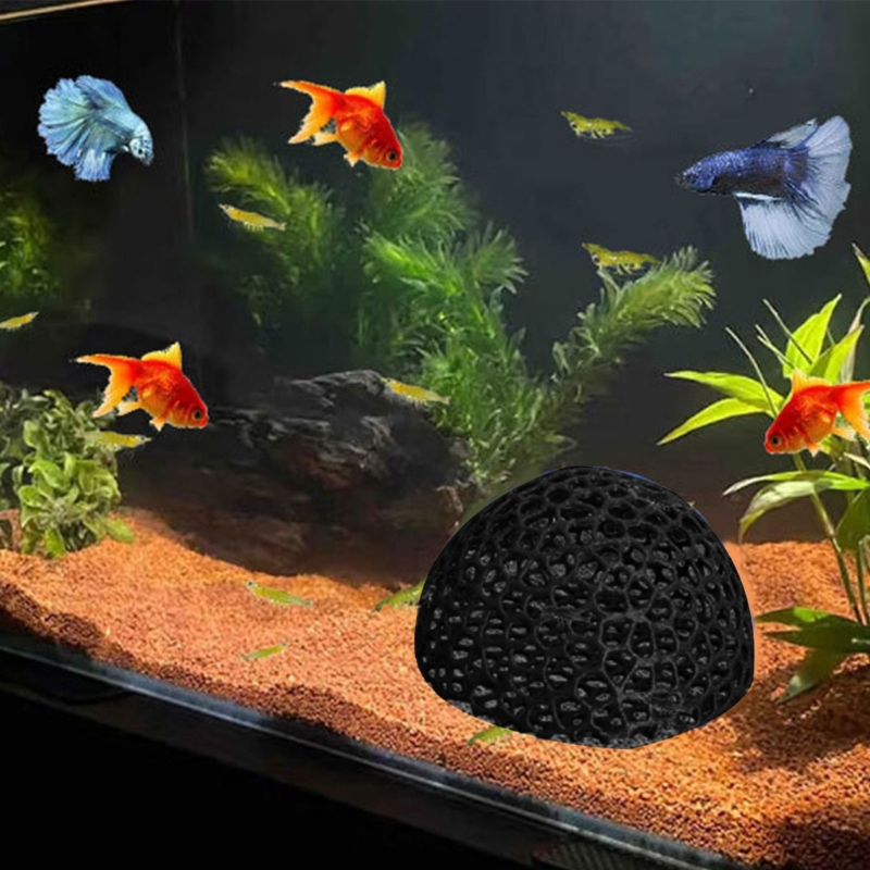 Fish Shelter Cave Corner for F - مراجعة Aquarium Fish Beautiful وسعره