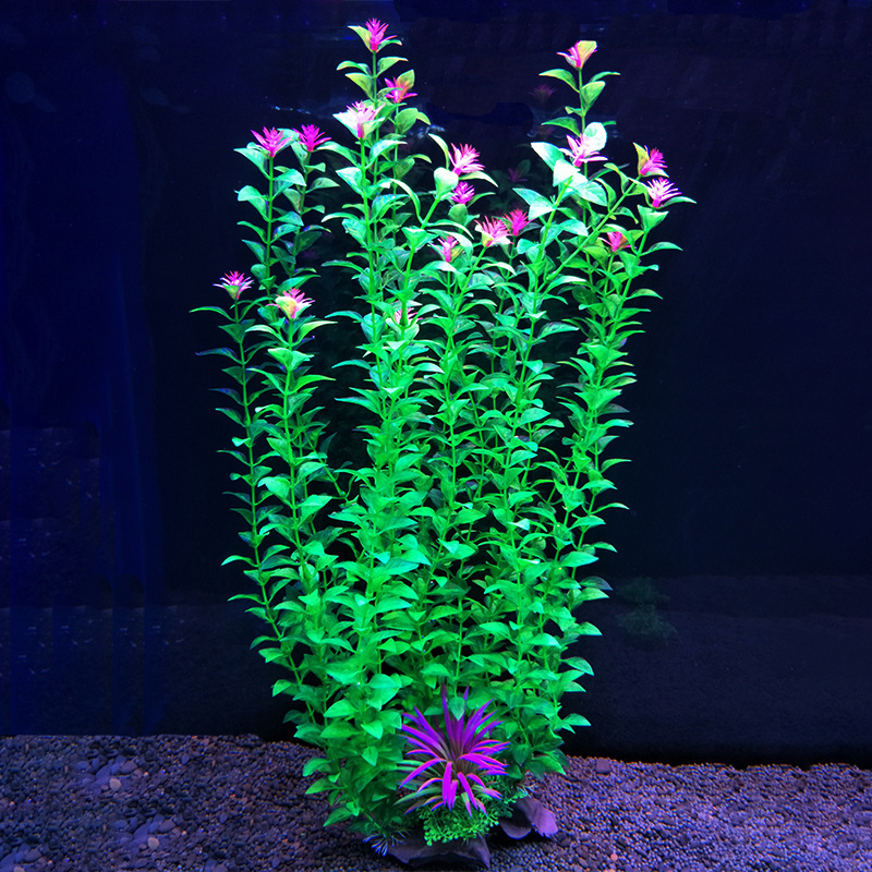 52 cm artificial fish tank pla - مراجعة Aquarium Fish Beautiful وسعره