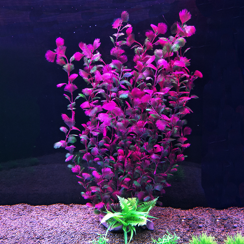 52 cm artificial fish tank pla - مراجعة Aquarium Fish Beautiful وسعره