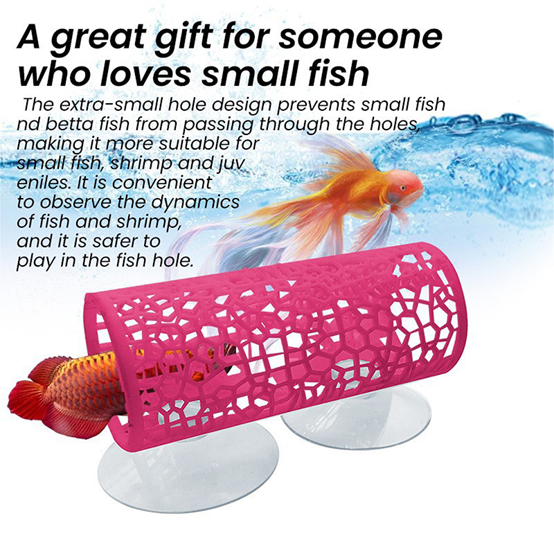 Innovative Betta Relaxation Tu - مراجعة Fish Aquarium Youtube Relaxing وسعره