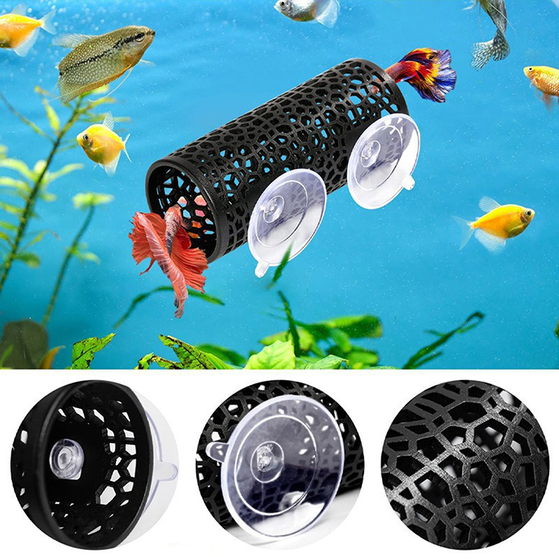 Innovative Betta Relaxation Tu - مراجعة Fish Aquarium Youtube Relaxing وسعره