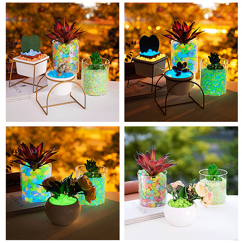 C 100pcs Garden Decor Luminous - مراجعة Aquarium Fish That Glow In The Dark وسعره