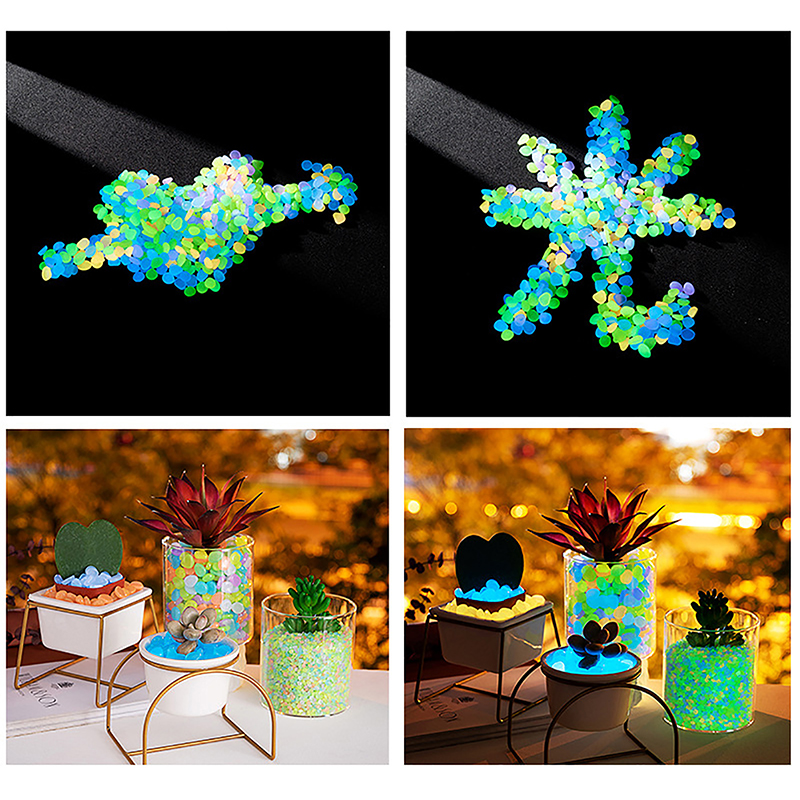 C 100pcs Garden Decor Luminous - مراجعة Aquarium Fish That Glow In The Dark وسعره