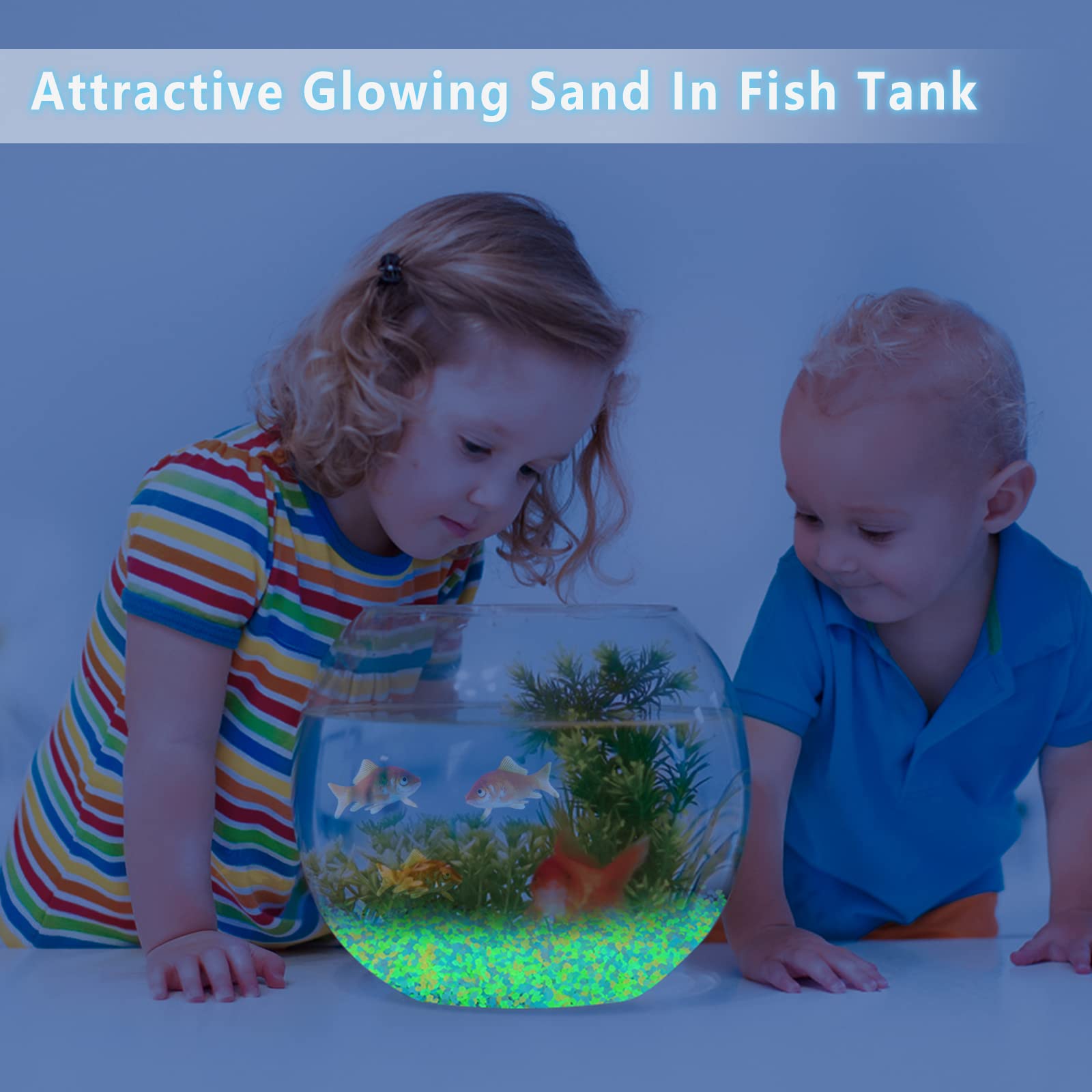 1000Pcs Luminous Sand Glow In  - مراجعة Aquarium Fish That Glow In The Dark وسعره