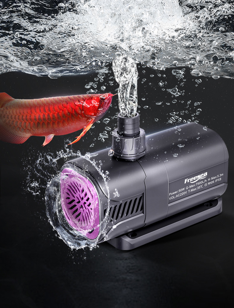 Custom Freesea High Quality 20 - مراجعة Aquarium Fish And Price وسعره