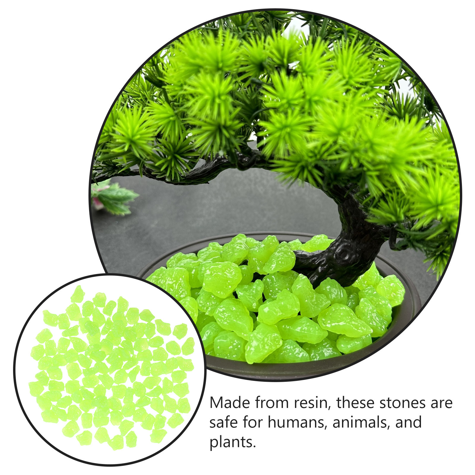 1Pack Glow in The Dark Resin S - مراجعة Aquarium Fish That Glow In The Dark وسعره
