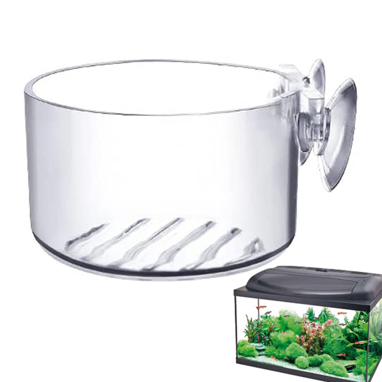 Aquarium Decoration Plant Cup  - مراجعة Aquarium Fish Beautiful وسعره