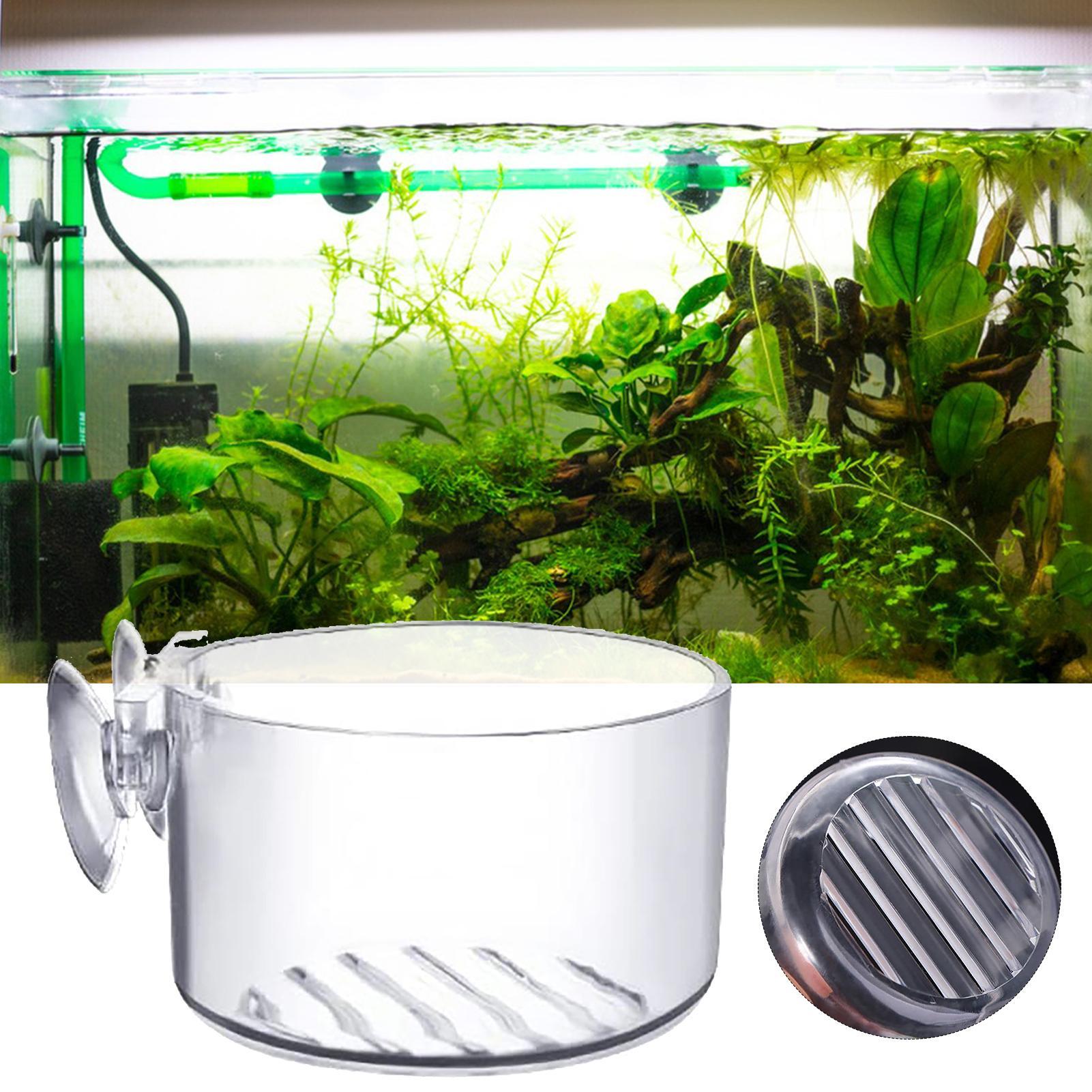 Aquarium Decoration Plant Cup  - مراجعة Aquarium Fish Beautiful وسعره