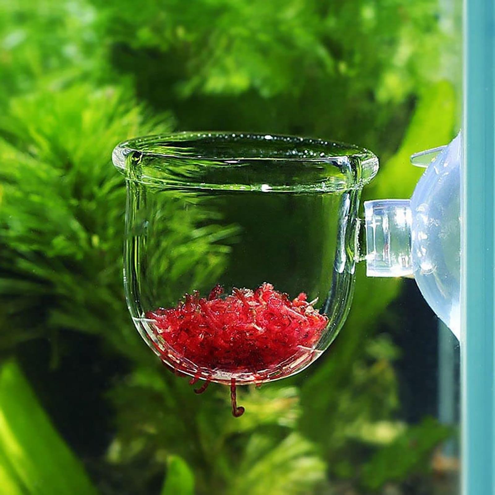 Aquatic Plant Cups Pot with Su - مراجعة Aquarium Fish Beautiful وسعره