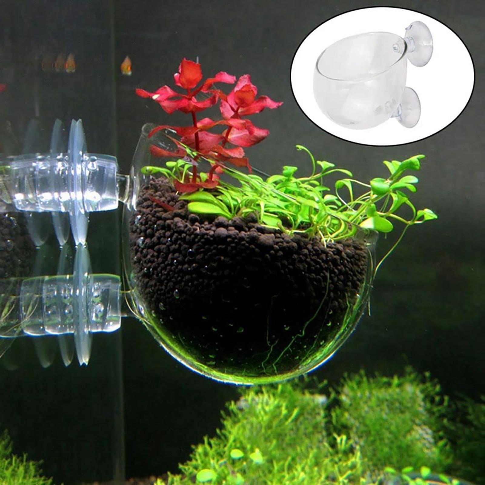 Aquatic Plant Cups Pot with Su - مراجعة Aquarium Fish Beautiful وسعره