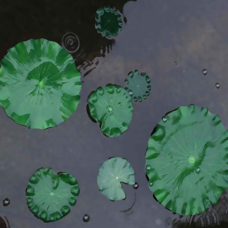 2026 Artificial Water Lily Lot - مراجعة Aquarium Fish Guppy وسعره