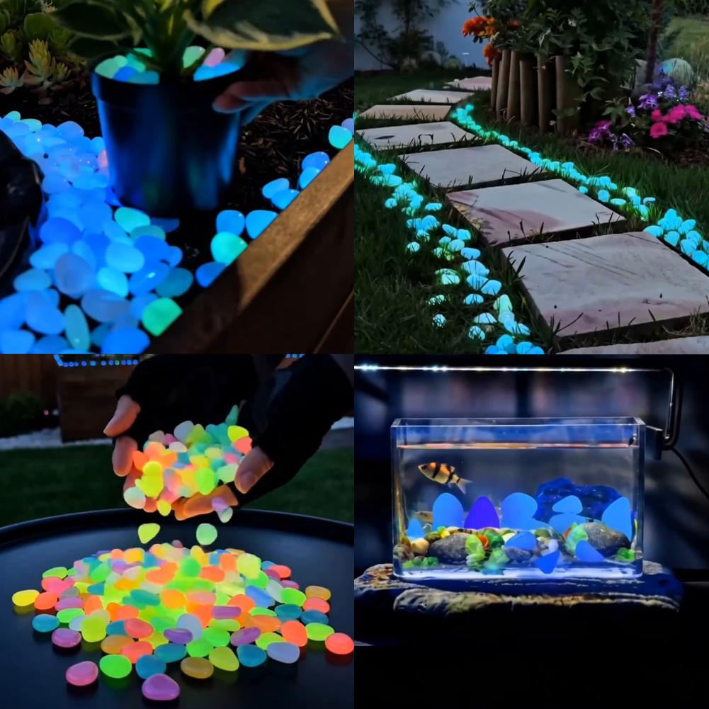 200/1000pcs Luminous Stones Gl - مراجعة Aquarium Fish That Glow In The Dark وسعره
