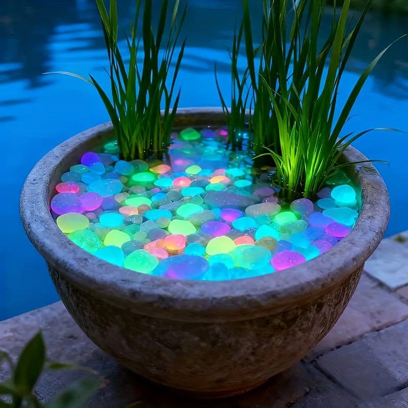 200Pcs Glow in the Dark Garden - مراجعة Aquarium Fish That Glow In The Dark وسعره