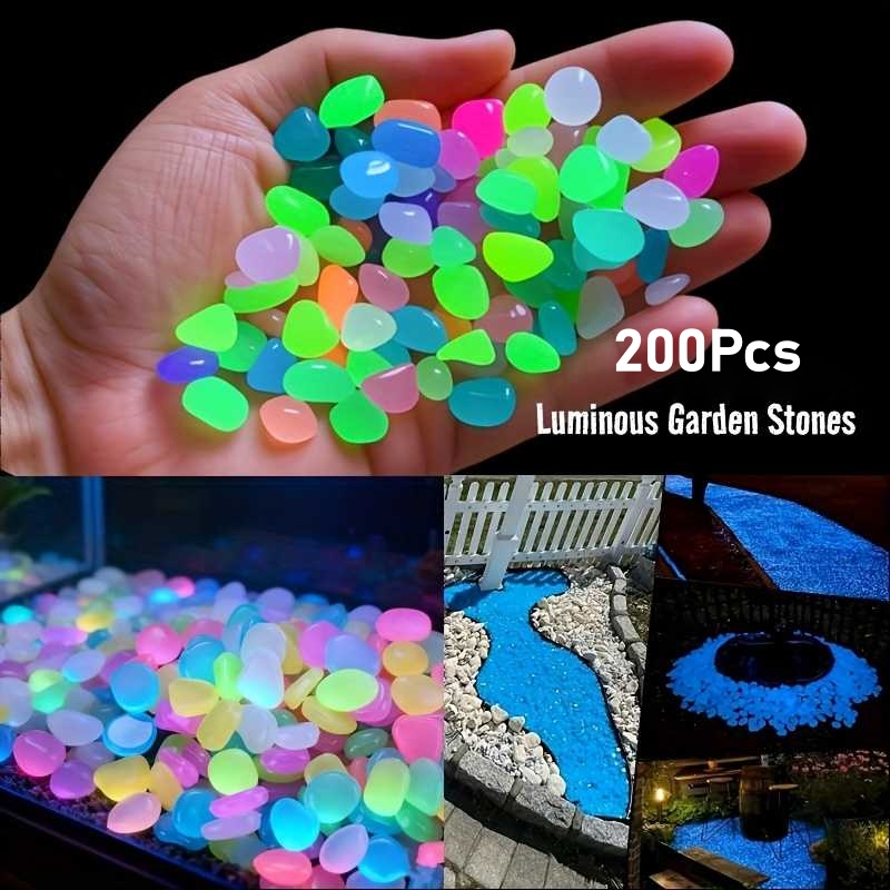 200Pcs Glow in the Dark Garden - مراجعة Aquarium Fish That Glow In The Dark وسعره