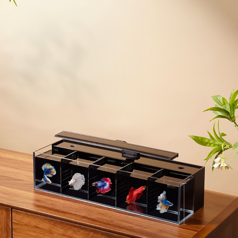 Douyu aquarium multi-grid comb - مراجعة Aquarium Fish Beautiful وسعره