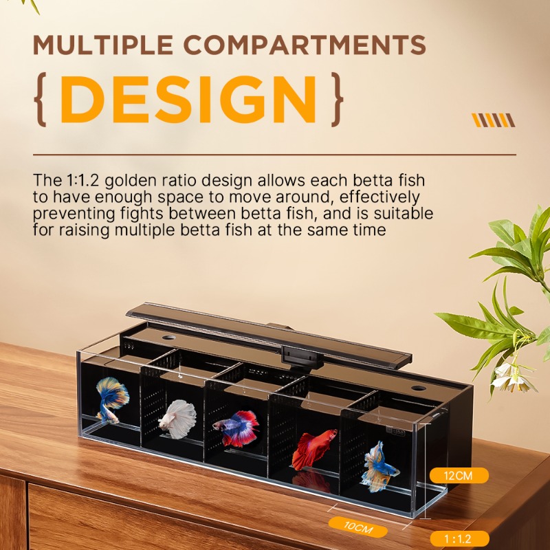 Douyu aquarium multi-grid comb - مراجعة Aquarium Fish Beautiful وسعره