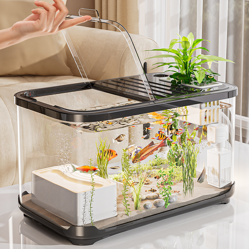 High Definition Transparent Fi - مراجعة Aquarium Fish Beautiful وسعره