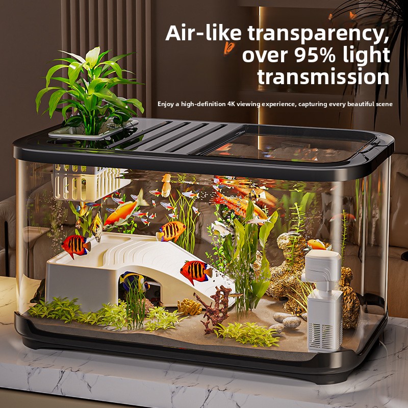 High Definition Transparent Fi - مراجعة Aquarium Fish Beautiful وسعره