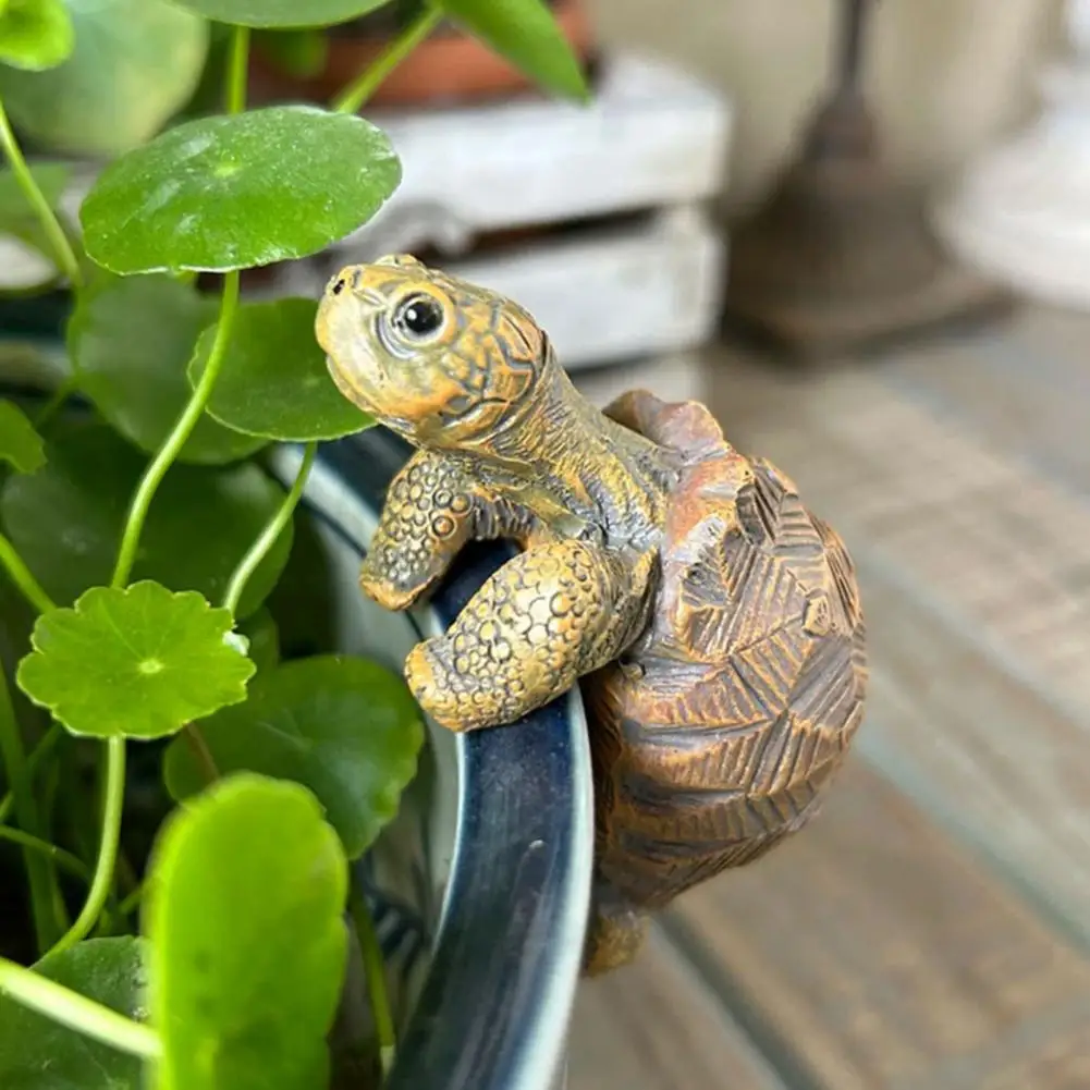 Fishing Turtle Hanging Turtle  - مراجعة Aquarium Fish Guppy وسعره