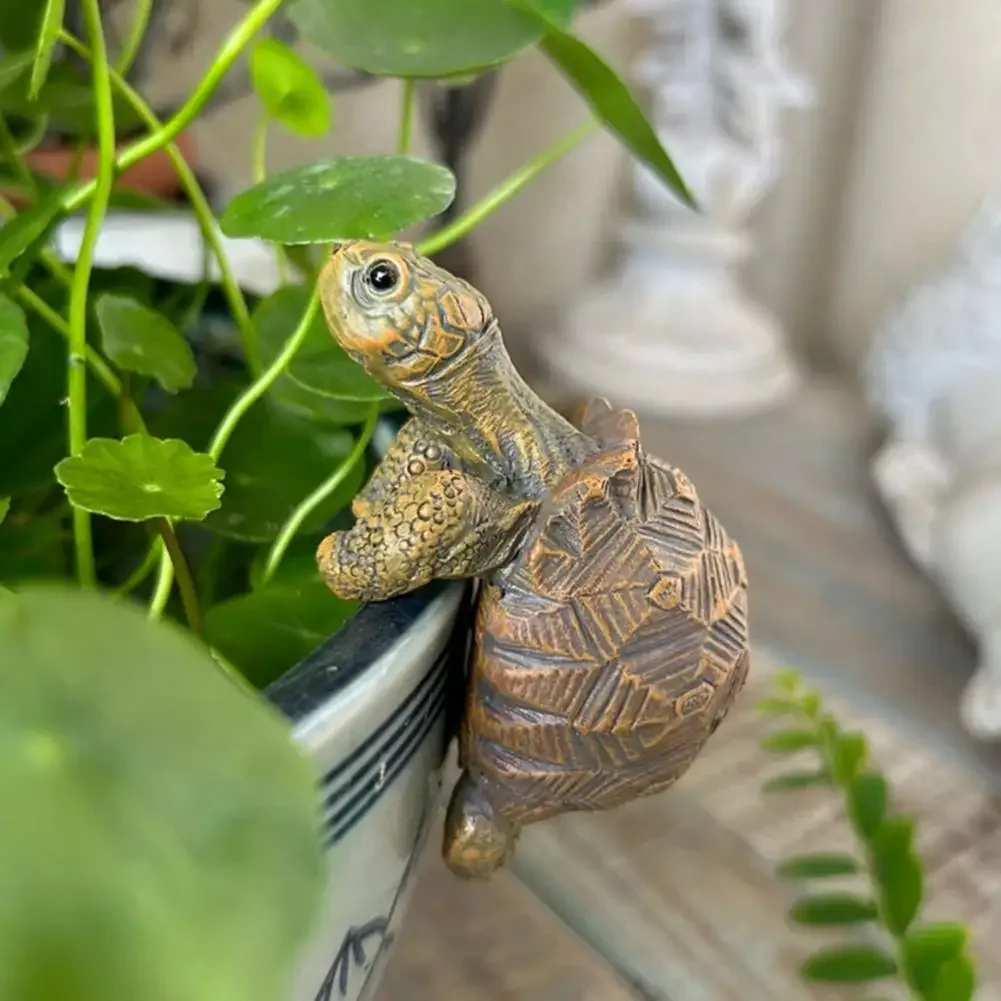 Fishing Turtle Hanging Turtle  - مراجعة Aquarium Fish Guppy وسعره