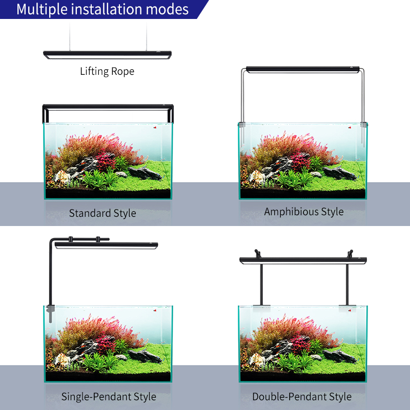 ZXY WEEKAQUA V300SE Best Price - مراجعة Aquarium Fish And Price وسعره
