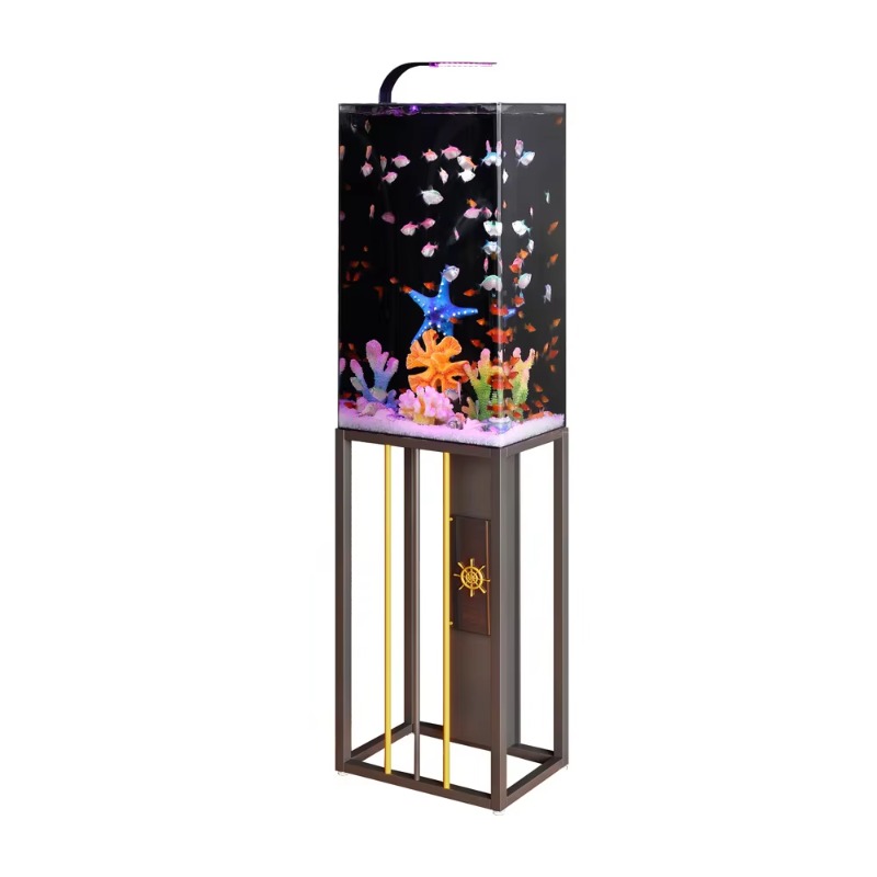 2026 Acrylic Aquarium Large an - مراجعة Aquarium Fish Beautiful وسعره