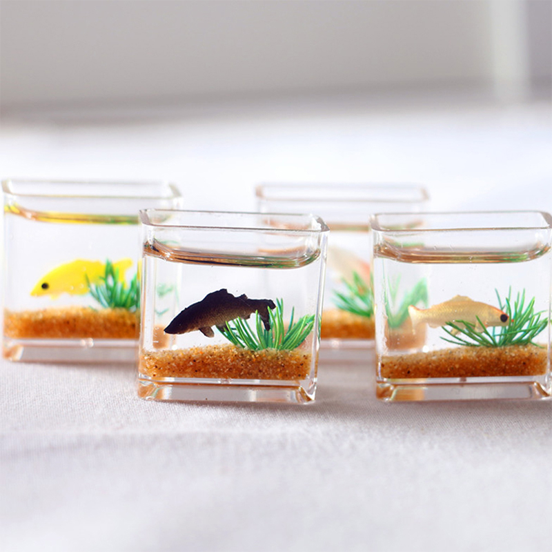 1Pc Mini Fish Tank Random Colo - مراجعة Aquarium Fish Guppy وسعره
