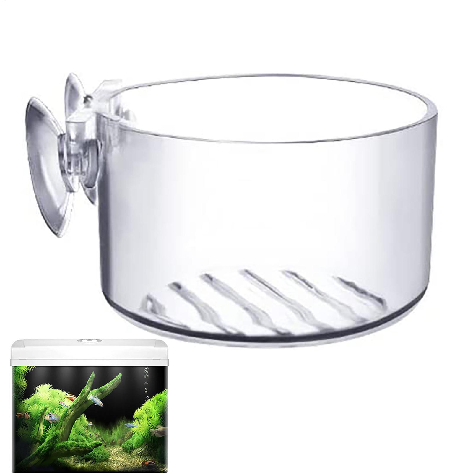 Suction Aquarium Plant Holder  - مراجعة Aquarium Fish Beautiful وسعره