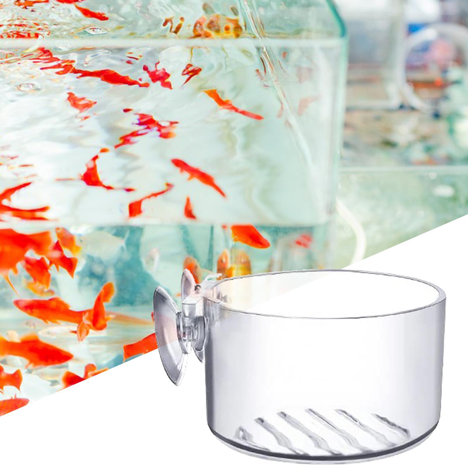 Suction Aquarium Plant Holder  - مراجعة Aquarium Fish Beautiful وسعره
