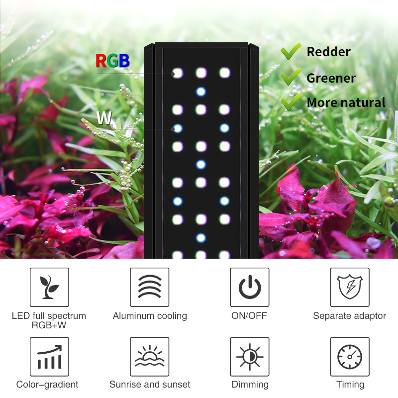 V300SE Best Price 30 40cm Fres - مراجعة Aquarium Fish And Price وسعره