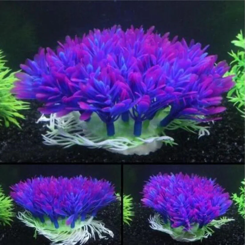 Artificial Wide Short Fish Tan - مراجعة Aquarium Fish Beautiful وسعره