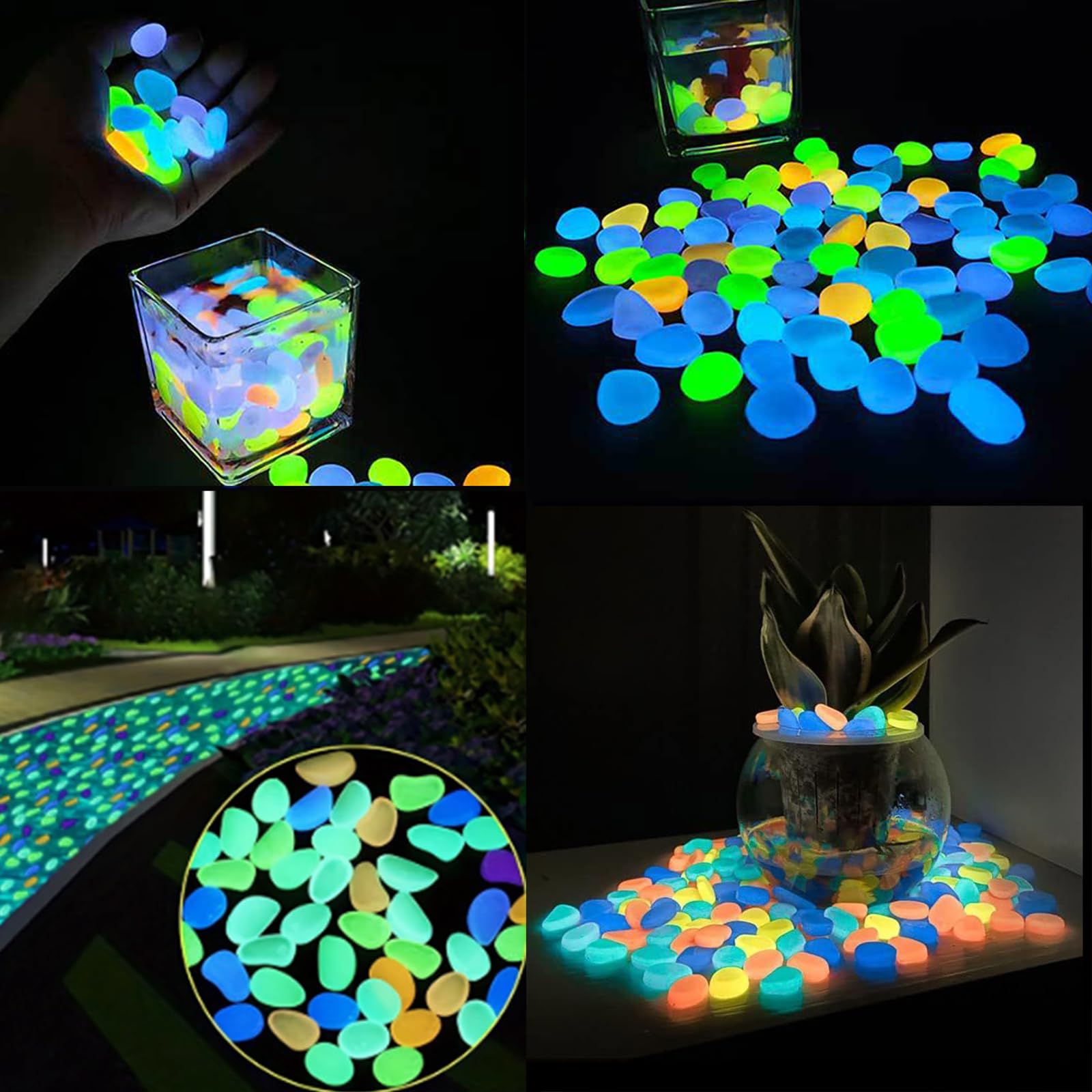 Aquarium Decor Glow In The Dar - مراجعة Aquarium Fish That Glow In The Dark وسعره