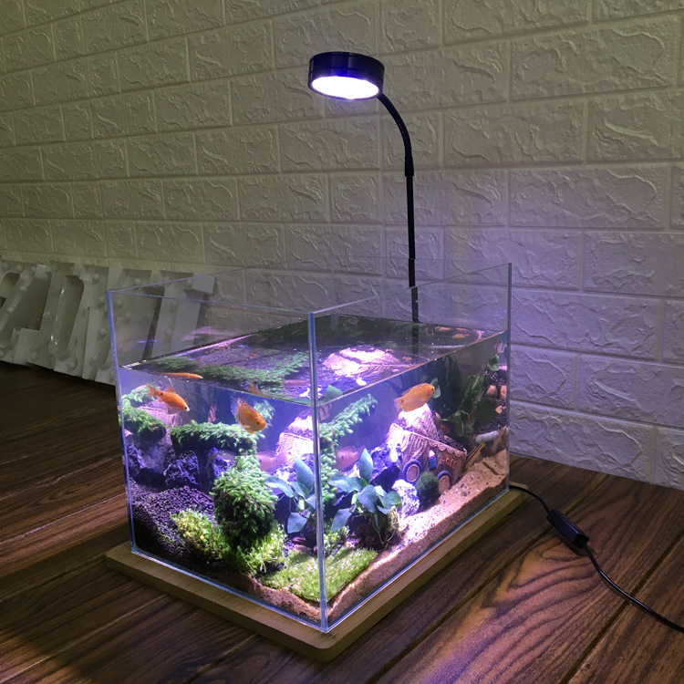 Right Angle Ultra-white Grass  - مراجعة Aquarium Fish And Price وسعره