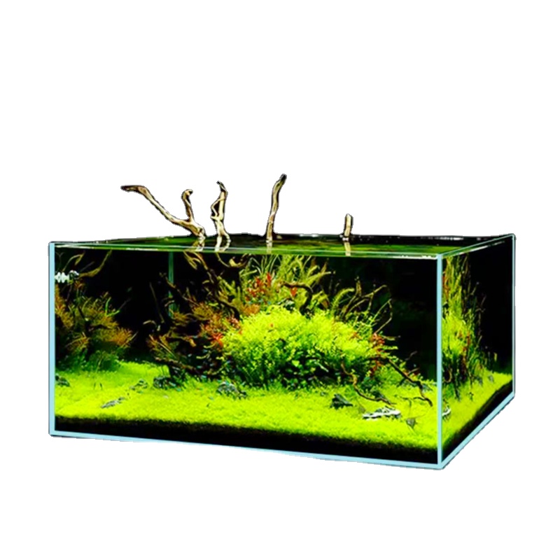 Right Angle Ultra-white Grass  - مراجعة Aquarium Fish And Price وسعره