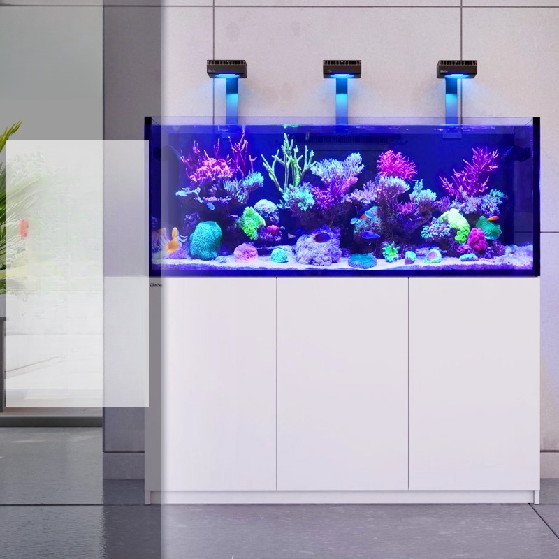 2026 Hot Selling Wholesale Pri - مراجعة Aquarium Fish And Price وسعره