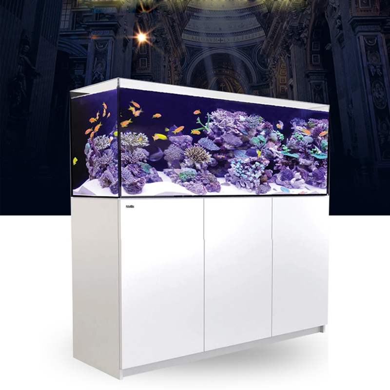 2026 Hot Selling Wholesale Pri - مراجعة Aquarium Fish And Price وسعره