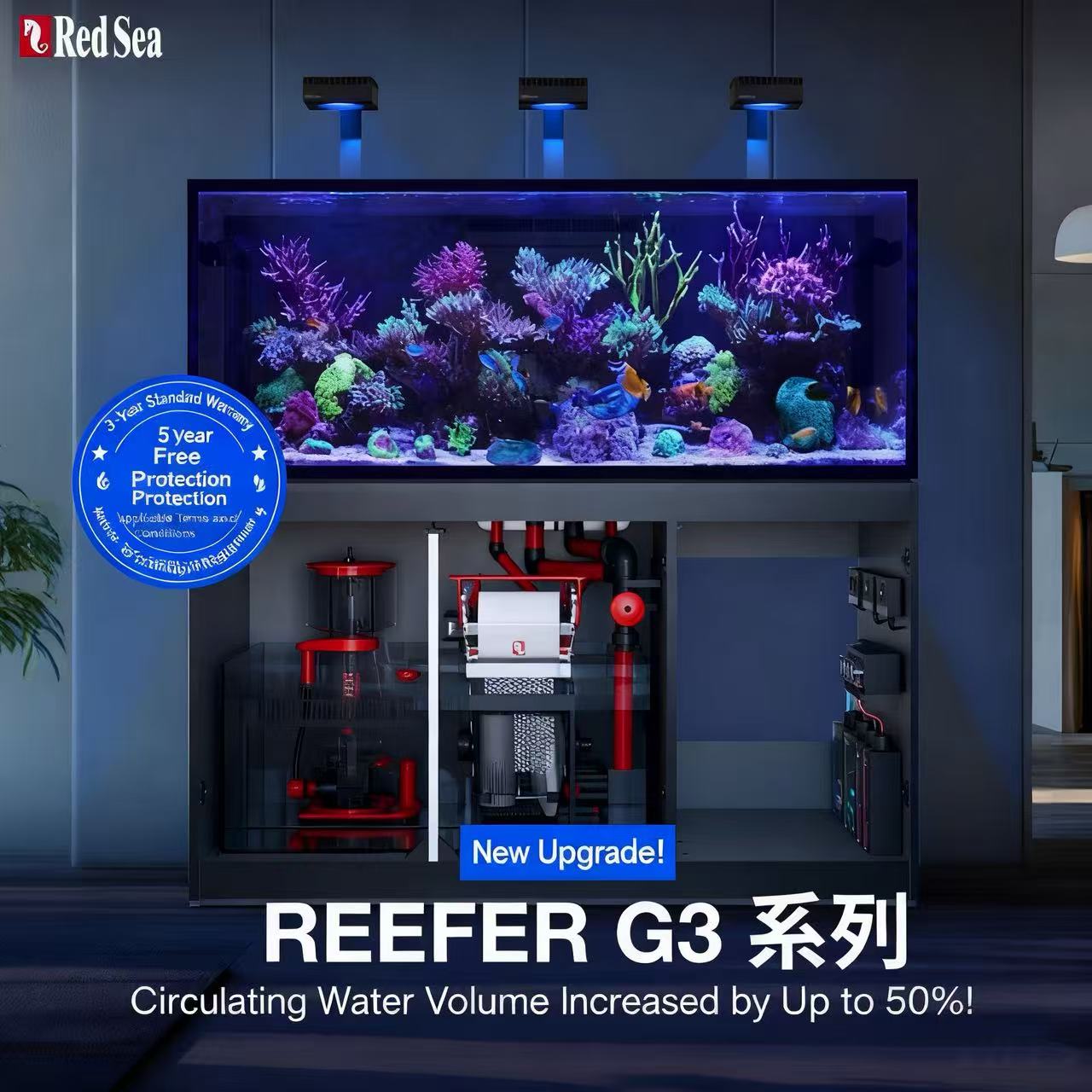 2026 Hot Selling Wholesale Pri - مراجعة Aquarium Fish And Price وسعره