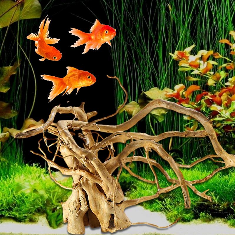 Tree Trunk Micro Landscape Rep - مراجعة Aquarium Fish Guppy وسعره
