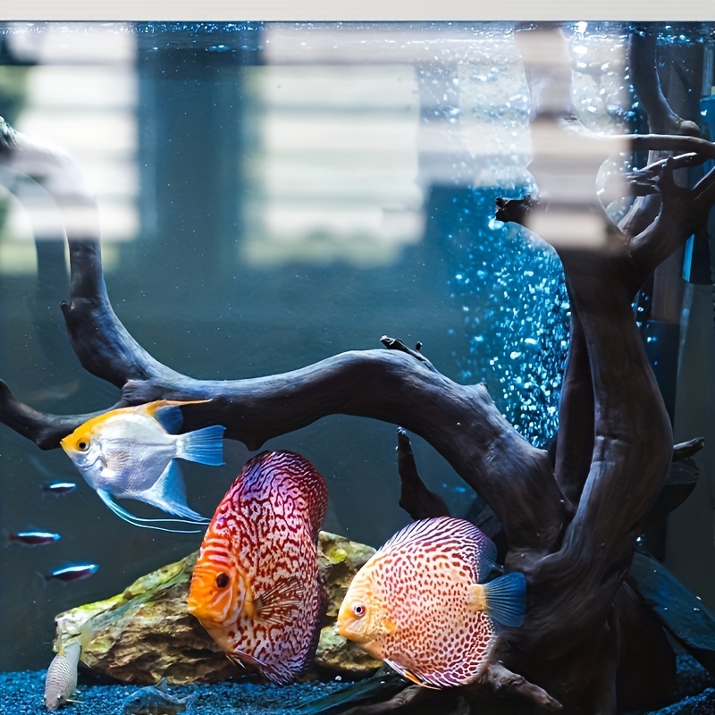 Tree Trunk Micro Landscape Rep - مراجعة Aquarium Fish Guppy وسعره