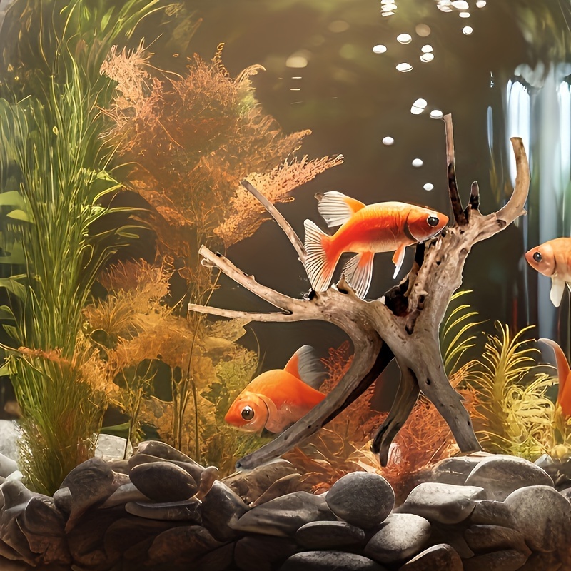 Tree Trunk Micro Landscape Rep - مراجعة Aquarium Fish Guppy وسعره